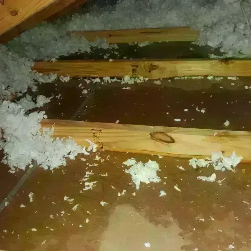 Attic Water Damage in Charlotte, TN