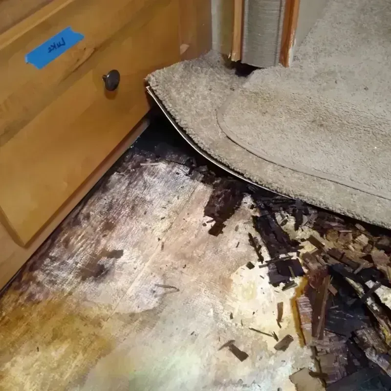 Wood Floor Water Damage in Charlotte, TN